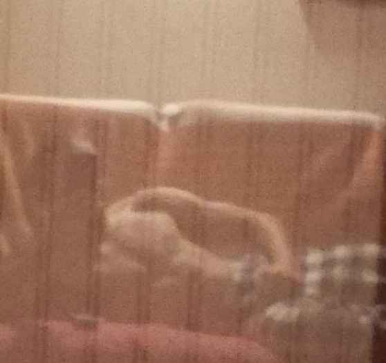 Profil de Celal, 37 ans, Rencontre gay à Areuse (Neuchâtel)